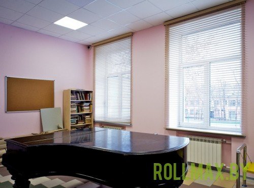 Горизонтальные жалюзи №10