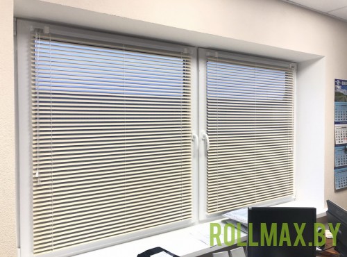 Жалюзи в офис №06