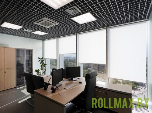 Рольшторы в офис №02