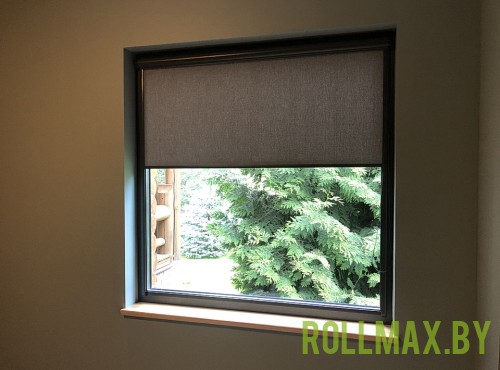 Кассетные рольшторы №31