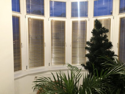 Горизонтальные жалюзи №25